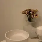 استادانات جبس بألوان مختلفة