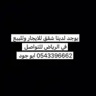 شقة في حي الياسمين للايجار