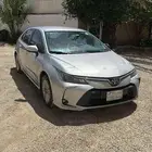 كورلا 2023 نص فل