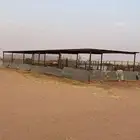 مضلتين 20 الطول والعرض 6