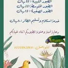 فندقه طيور