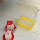 بط بكيني