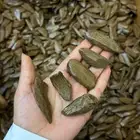 عود طبيعي محسن