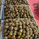 سكري القصيم من المزرعه مباشره الى موقعك