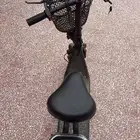 سكوتر كهربائي اخو الجديد