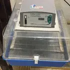 فقاسه فيم الايطاليه