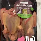 زغاليل وفروخ حمام فرنسي