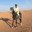 خيل