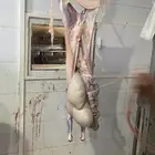 ذبايح بريه واعلاف طبيعيه يشهد الله