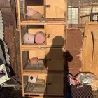 محكر للبيع
