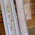 قواعد لمبات جديده