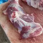 طليان ذبايح نظيفه للبيع