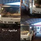 دينه 2008 بديها وكالة ايسوزو