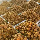 أفخر انواع تمور القصيم الملكيه