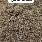 معمول طئفي ودوسري جملة.