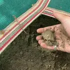 تربه زراعيه