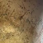 وايت موستبيشي