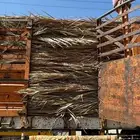 سعف عسيب جريد نخل