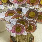 توزيعات يوم التاسيس