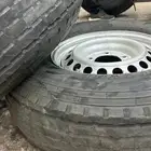 الجنوط