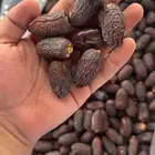 تمور عجوة صفاوي سكري