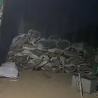 مستور د كين