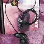 صبياء