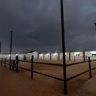 عشيره شمال الطايف
