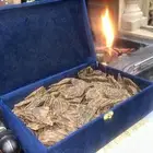 عود ازرق كلمتان تحطيم الاسعار