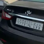 لوحة مميزة للبيع برق