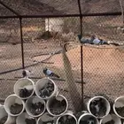 حمام تركي و شبك