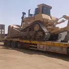 لوبد متواجد في جيزان