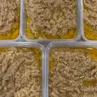 رضيف بقر بلادي على شرط