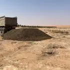 سماد دواجن بياض