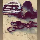 سرج خيل