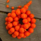 مسبحه صب قديم بولنق 55خرزه
