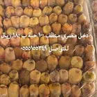 د خ ل مصري