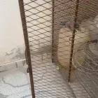شبك جديد سللليم مافيه شي