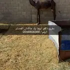 مفروده كفو
