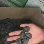 موجود عجوي 6 طن كبير وسط موجود صفاوي 4 طن. موجود مجدول وصفع