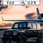 لوحة نادرة ومميزة ر م و 900
