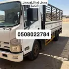 دينه سيزو ديانا نقل