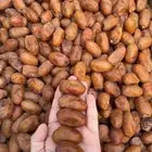 تمر خلاص
