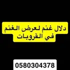 ساعي دلال غنم