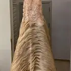 فستان للبيع