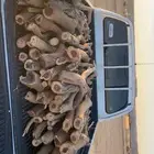 سمر يابس عشرط الاحد 450
