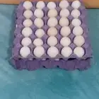 بيض بلدي للبيع ونظيف