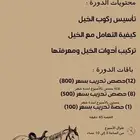 إيوا تدرب على ركوب الخيل عسف الخيل ركوب حر