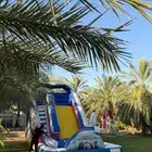 العاب