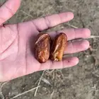 جعبة